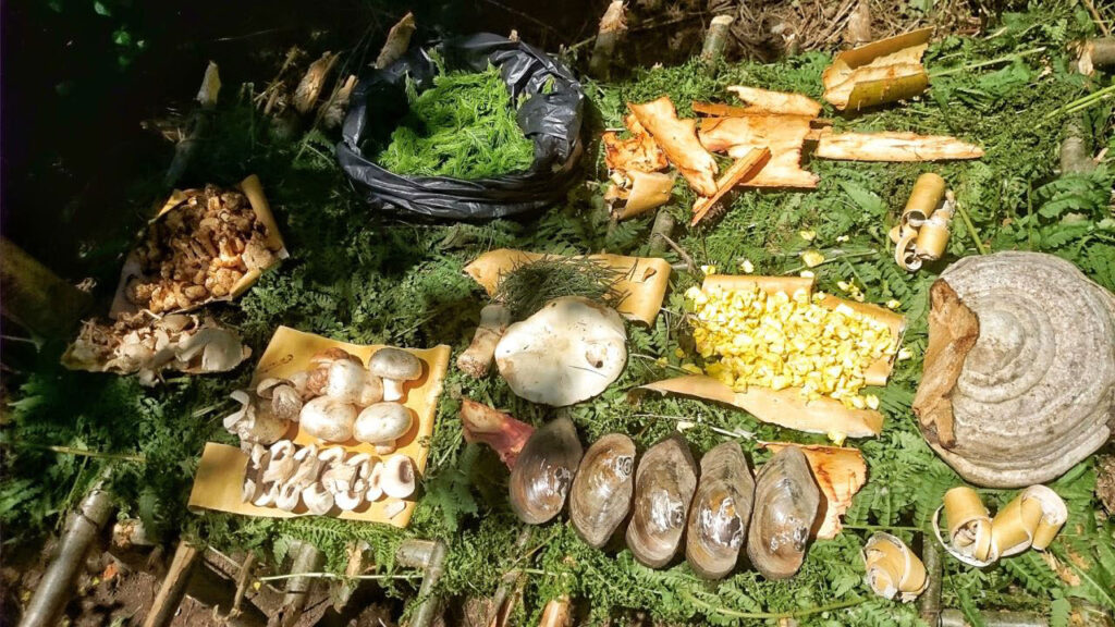 Preživljavanje u prirodi Military Experience